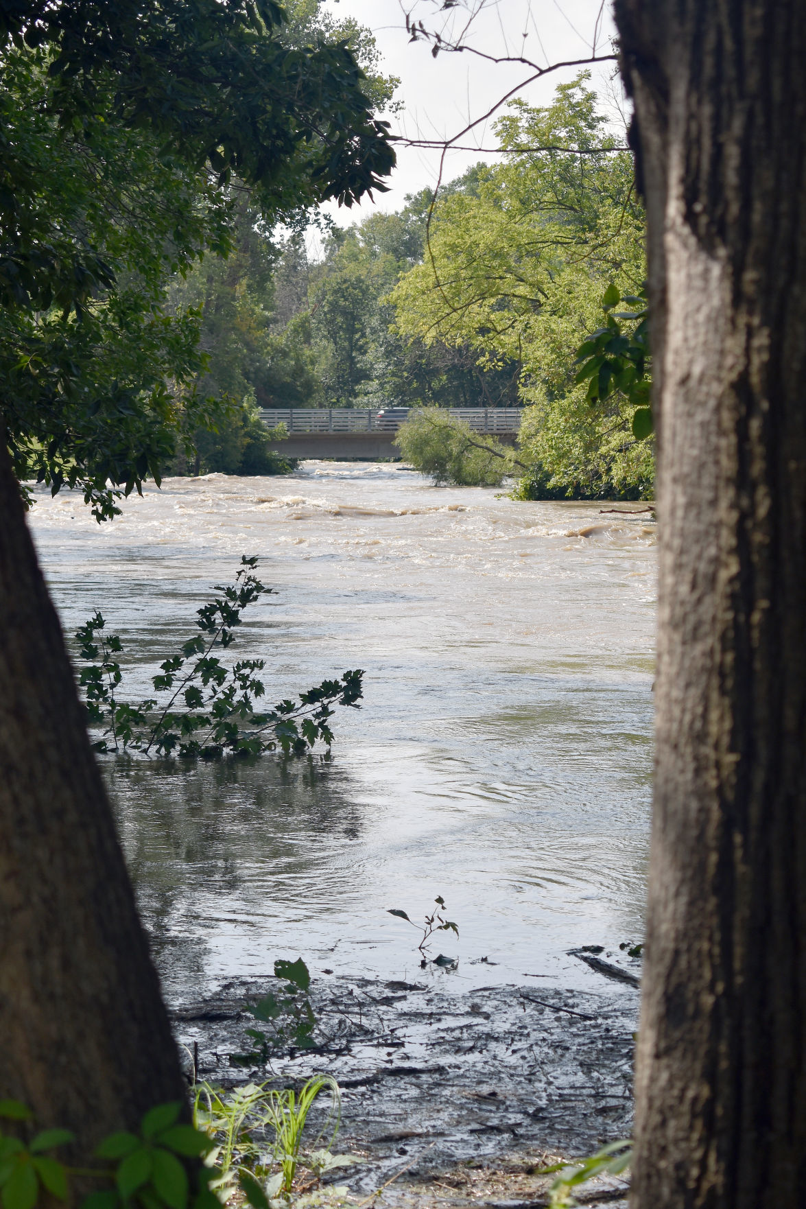 Lower Ochsner Park